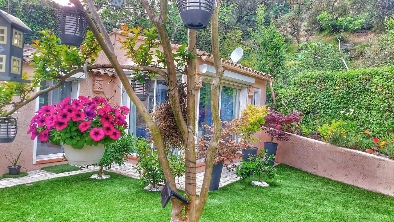 Dans Un Jardin Bb Et Jacuzzi Bed and Breakfast Mandelieu Εξωτερικό φωτογραφία